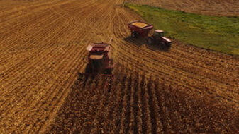 Corn Harvest combine and wagon